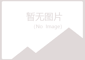 兴山区半知咨询有限公司